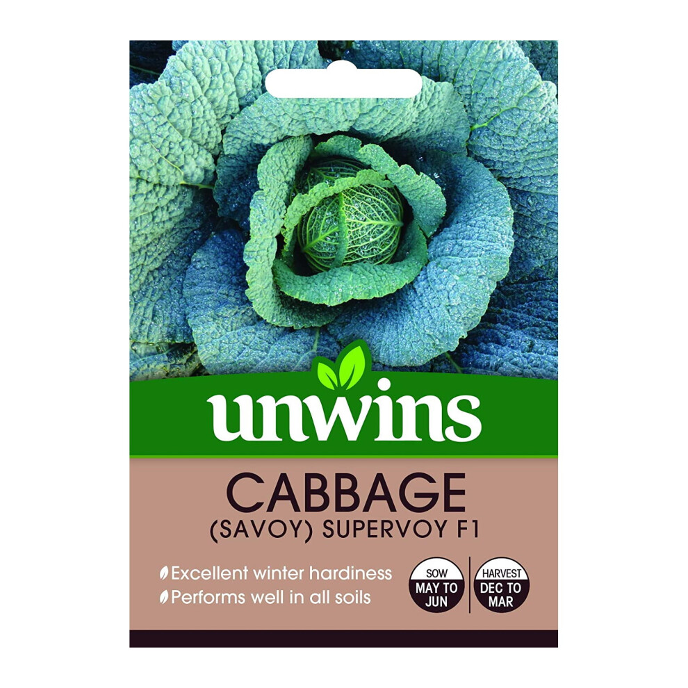 Unwins Grow Your Own Cabbage Savoy Supervoy F1 Vegetable Seeds Dark/Green