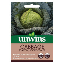 Unwins Grow Your Own Cabbage Savoy Cordesa F1 Vegetable Seeds