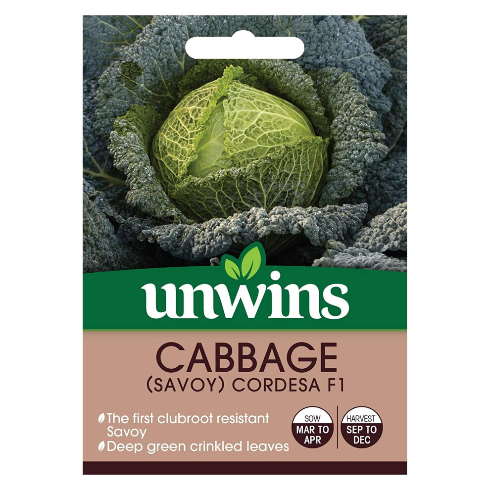Unwins Grow Your Own Cabbage Savoy Cordesa F1 Vegetable Seeds