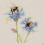 Jane Bannon (Bees on Cornflowers) 40 x 40 x 4cm Canvas Print 1