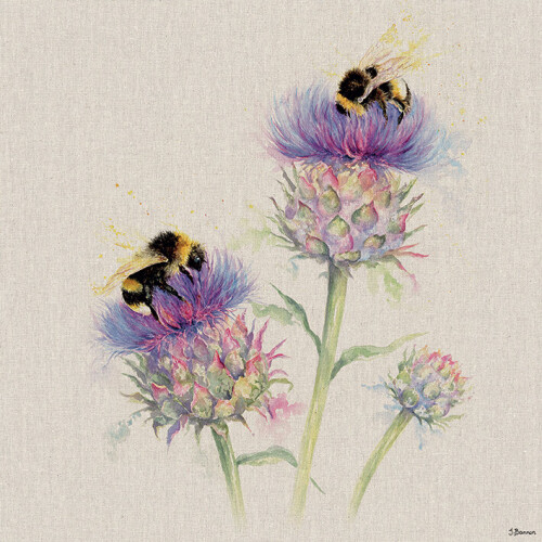 Jane Bannon (Busy Bees) 40 x 40 x 4cm Canvas Print