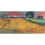 Jo Grundy (Harvest Song) 50 x 100 x 4cm Canvas Print 1