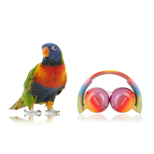Roxel RX110 Rainbow Ergonomic Lightweight Wired Foldable Headphones with Mic 2