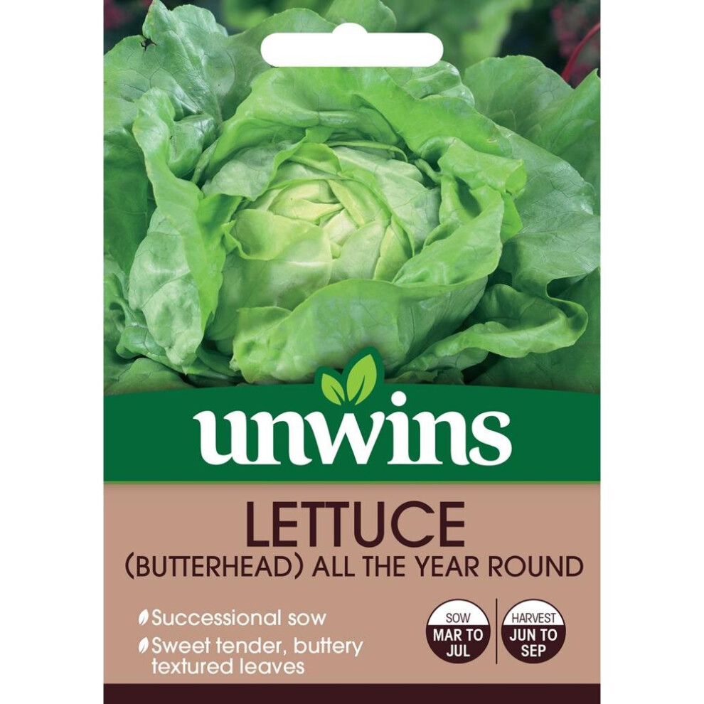 Unwins Grow Your Own Butterhead All The Year Round Lettuce Veg Seeds
