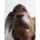 Sitting Faux Leather Dachshund Door Stop 4