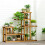 Living And Home Rustic Large Multi-Tiered Wooden Plant Stand 3
