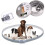 8 Mois de Protection Collier Ajustable pour Chiens Chats Puces et Tiques 1