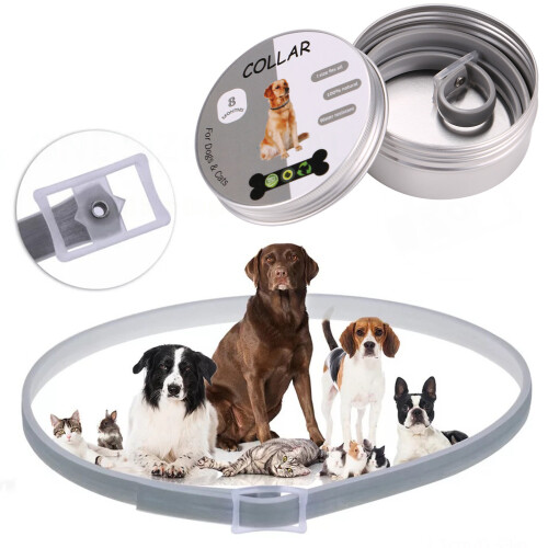8 Mois de Protection Collier Ajustable pour Chiens Chats Puces et Tiques