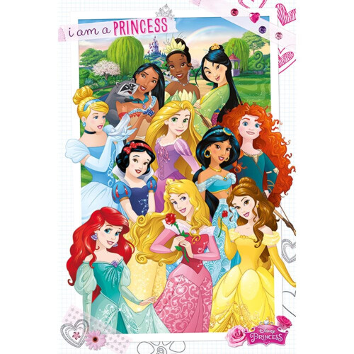 Disney Disney Princess Poster 286