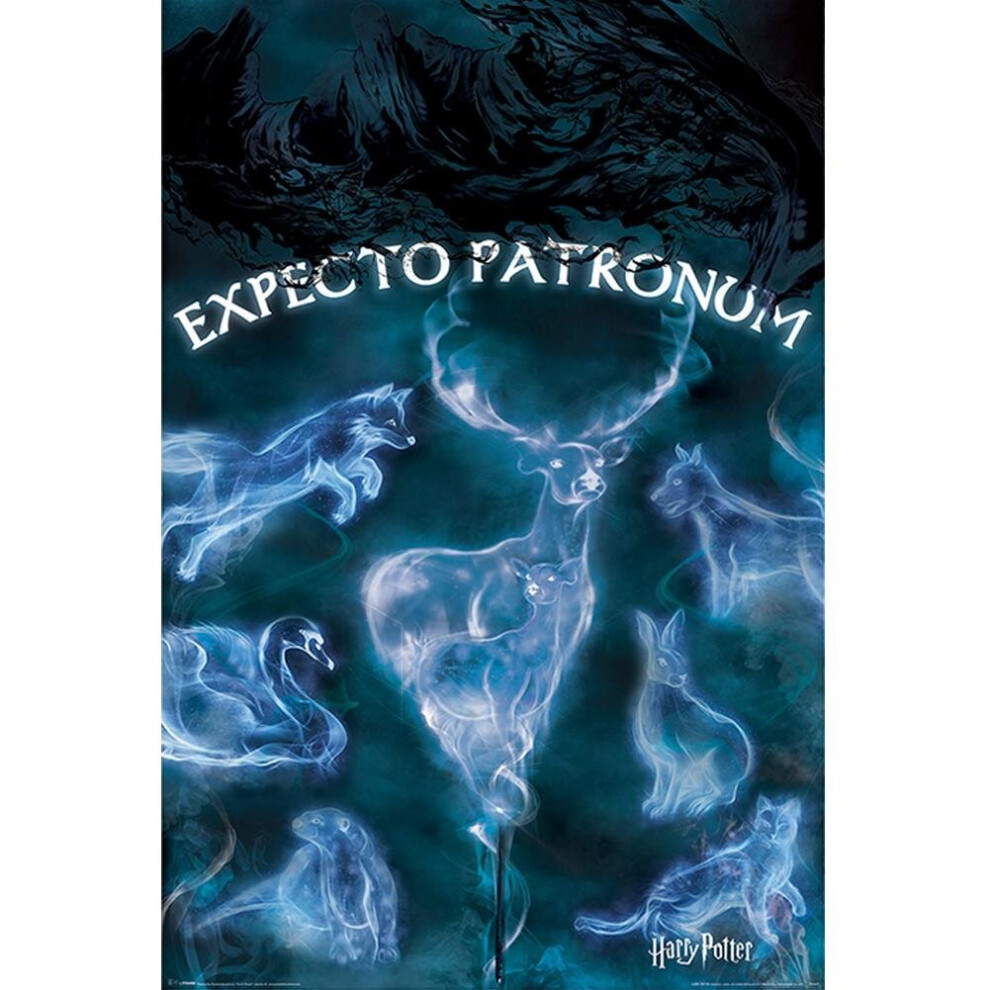 Harry Potter Poster Patronus 288