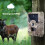 Κυνήγι Trail Camera Ασύρματη Wildlife Cam Αδιάβροχη νυχτερινή όραση 2