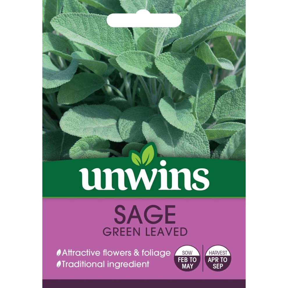 Unwins Grow Your Own Delicious Leaved Sage Herb Seeds Green