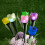 (Variegated) Solar Powered Garden Lighting Garden lights 3
