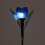 (Variegated) Solar Powered Garden Lighting Garden lights 6