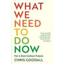 What We Need to Do Now | Paperback