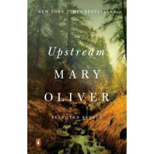 Upstream
