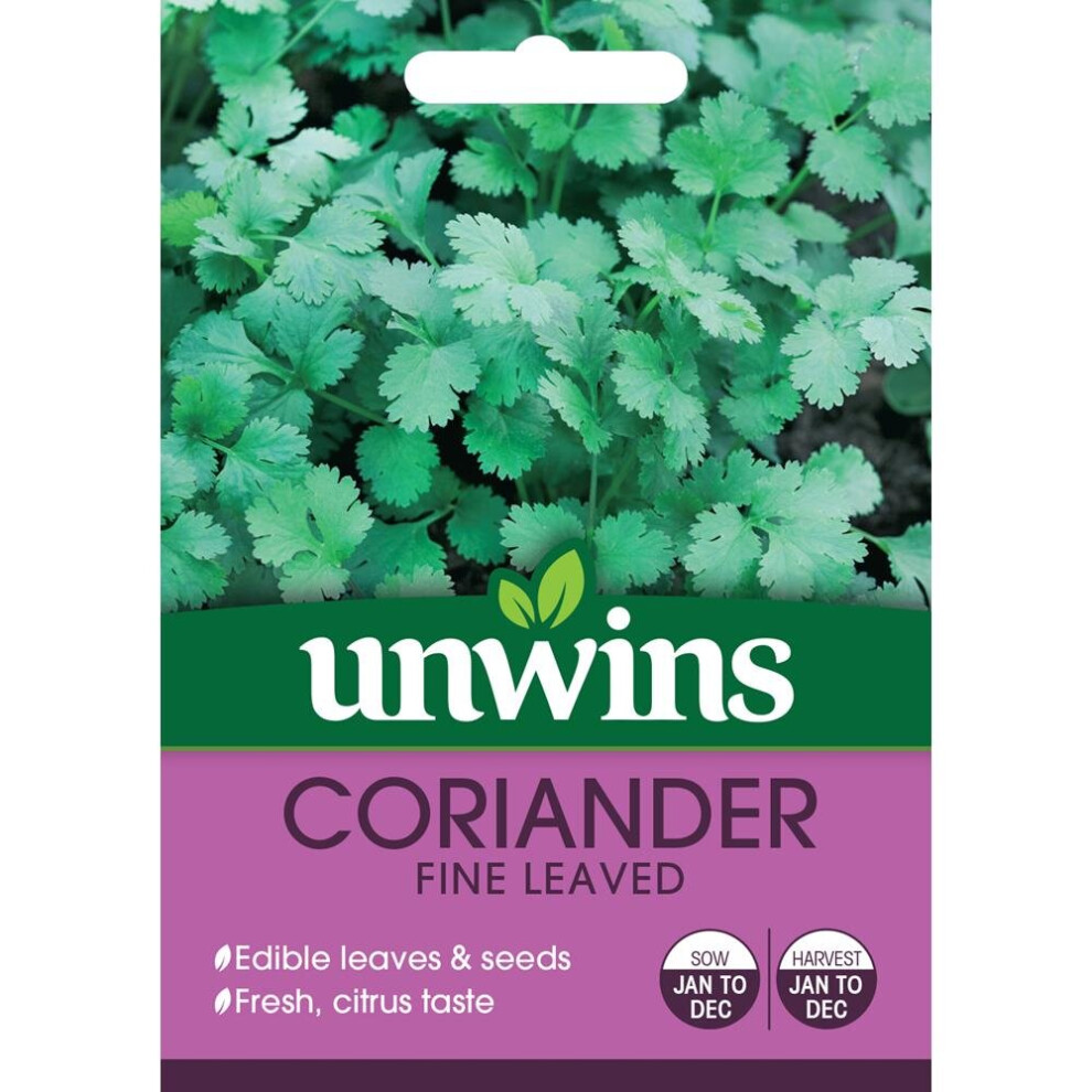 Unwins Grow Your Own Citrus Taste Fine Leaved Coriander Herb Seeds
