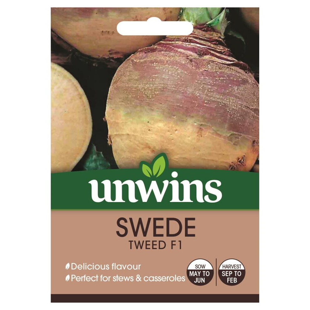 Unwins Grow Your Own Delicious Tweed Swede F1 Vegetable Seeds