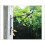 Kingfisher Kingfisher Hanging Basket Bracket 12in HBB12B 1