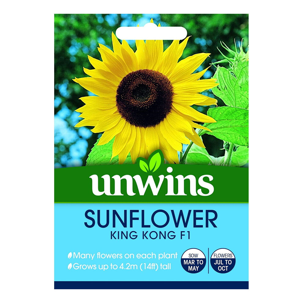 Unwins Grow Your Own 14Ft King Kong F1 Sunflower Flower Seeds