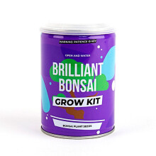 (Brilliant Bonsai Grow Tin) Gift Republic Grow It Yourself Grow Tin