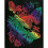 HAND JM-0246 Scratch Art Paper 29 cm x 21 cm Multicoloured 5 Sheets 3