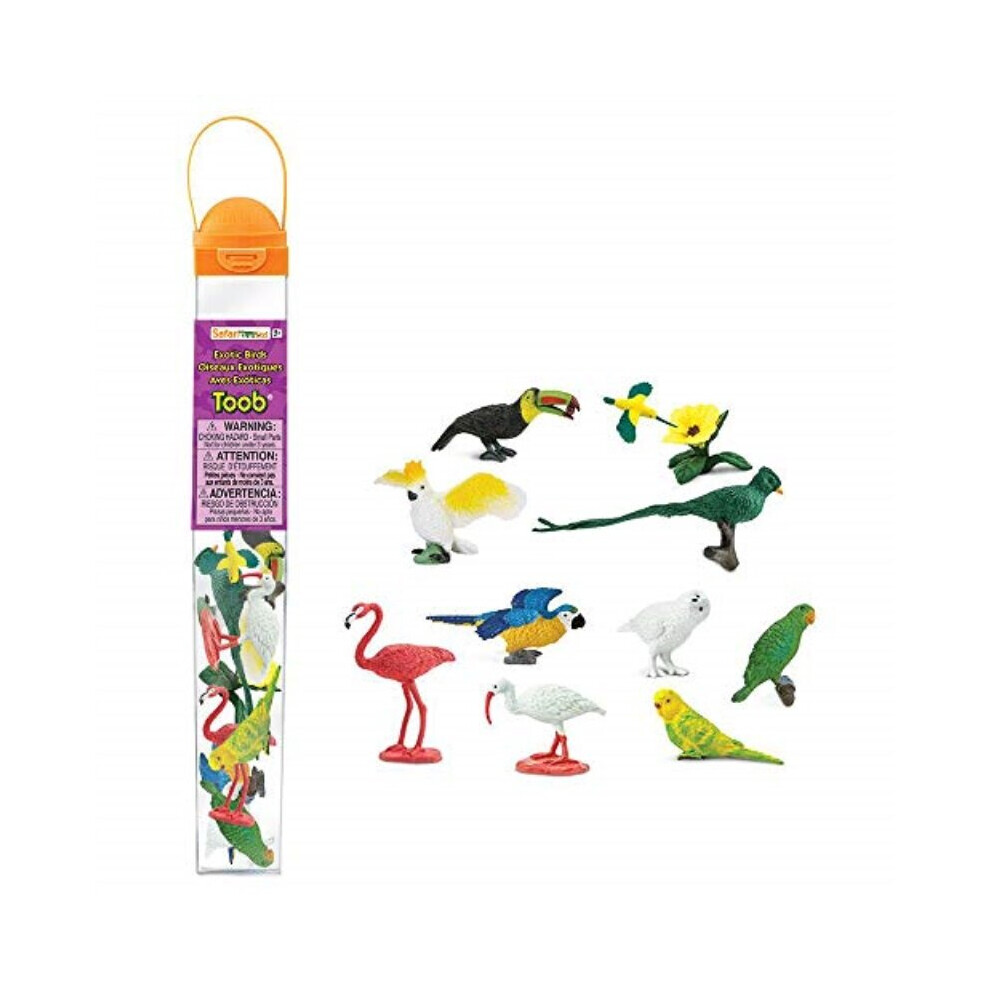 Safari Ltd Exotic Birds TOOB - 11 Different Hand Painted BPA Pthalate and Lead-Free Toy Figurine Models - For Ages 3 And Up