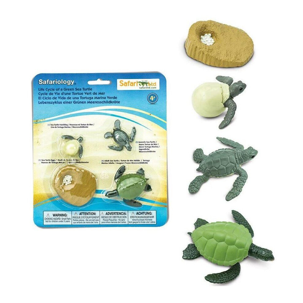 Safari Ltd Life Cycle of a Green Sea Turtle