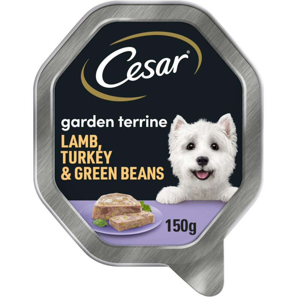 Cesar 14 X 150G Garden Terrine Wet Dog Food Trays With Lamb & Turkey In Loaf