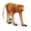 Schleich Schleich Wild Life Proboscis Monkey 1