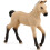 Schleich 13929 - Hannoverians föl, Röd Dun 1