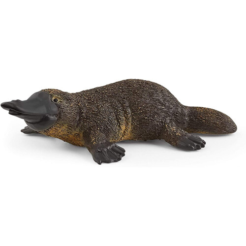 Schleich Schleich Wild Life Platypus
