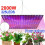 Lampe de croissance LED 225 - Kits hydroponiques pour plantes 2