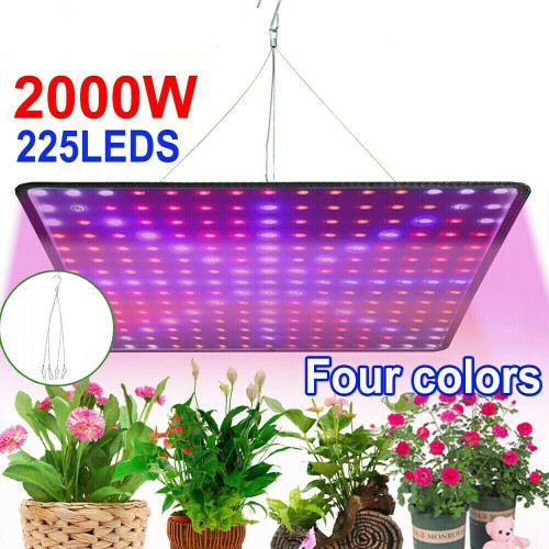 Lampe de croissance LED 225 - Kits hydroponiques pour plantes 1