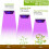 Lampe de croissance LED 225 - Kits hydroponiques pour plantes 4