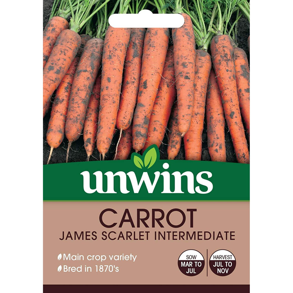 Unwins Grow Your Own Vegetable Seeds - Carrot James Scarlet Inter