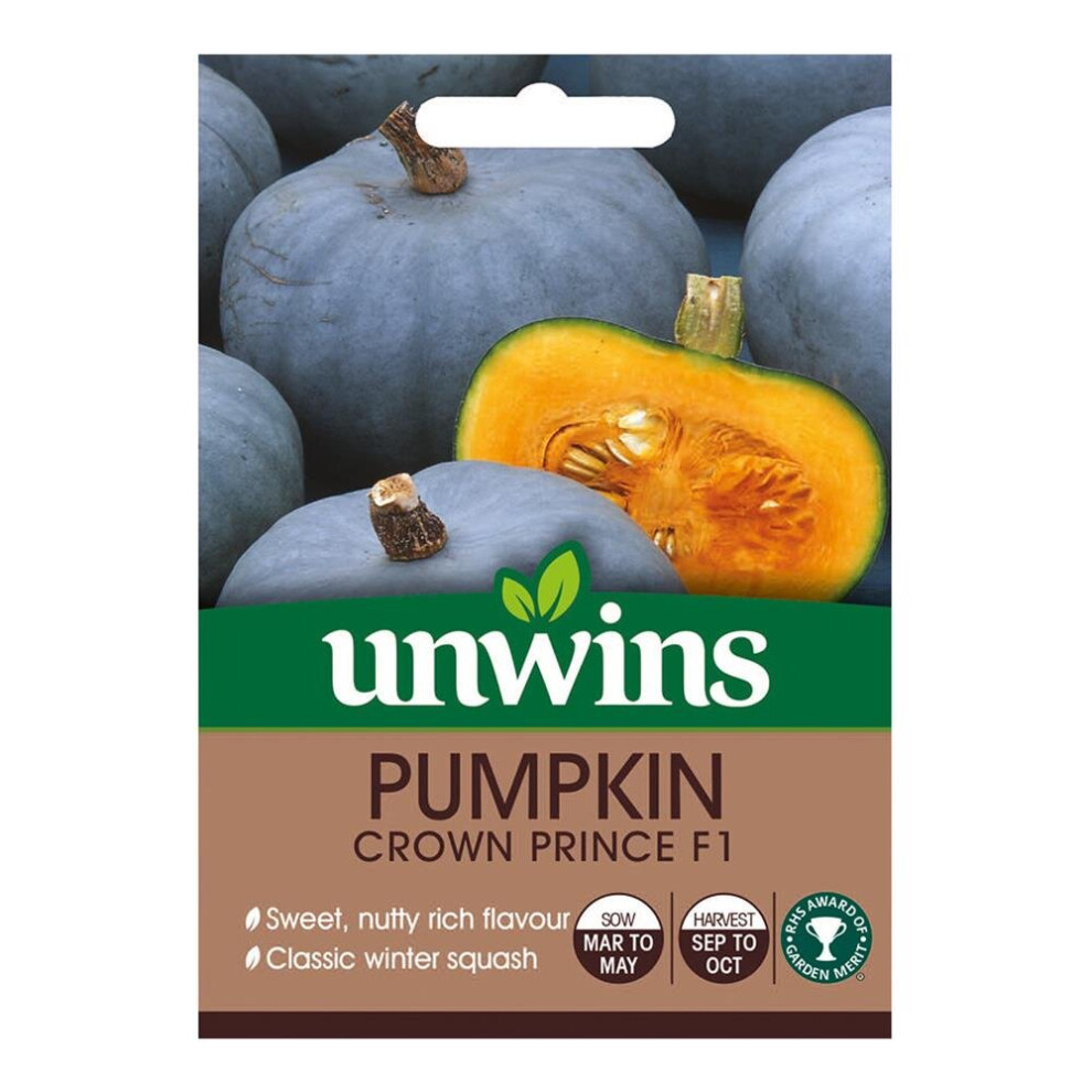 Unwins Grow Your Own Sweet Nutty Pumpkin Crown Prince F1 Veg Seeds Grey/Orange
