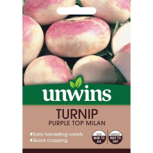 Unwins Grow Your Own Quick Cropping Purple Top Milan Turnip Veg Seeds