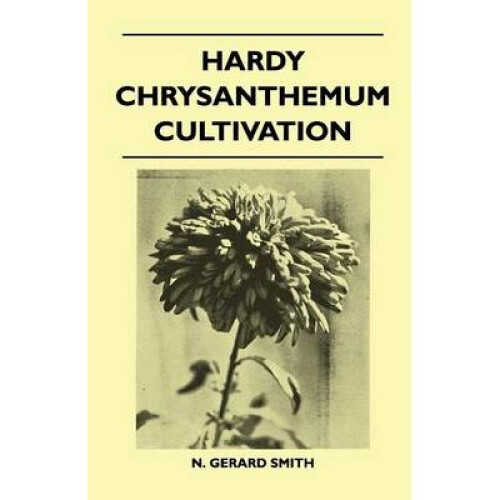 Hardy Chrysanthemum Cultivation