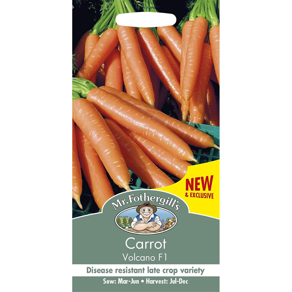 Mr Fothergills - Vegetable -Carrot Volcano F1 - 350 Seeds