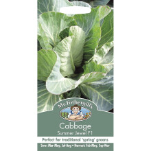 Mr Fothergills - Vegetable - CABBAGE Summer Jewel F1 - 50 Seed