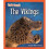 Vikings | Hardback 1