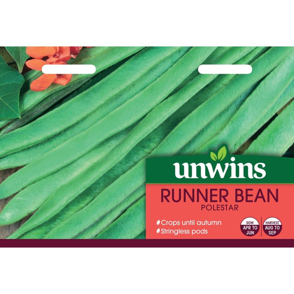 Unwins Grow Your Own Tasty Vegetable Seeds - Runner Bean Polestar