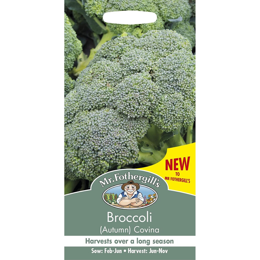 Mr Fothergills - Vegetable - Broccoli (Autumn) Covina - 50 Seeds