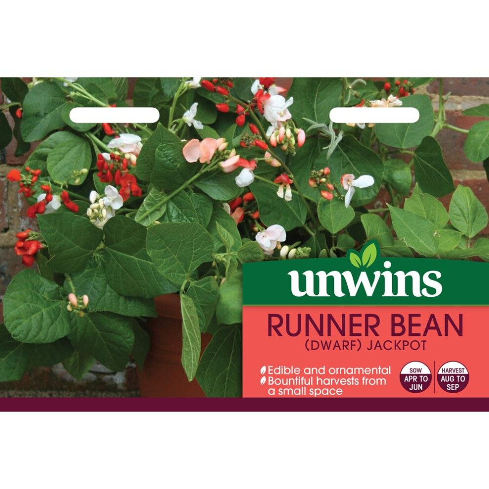 Unwins Grow Your Own Tasty Vegetable Seeds - Runner Bean Jackpot