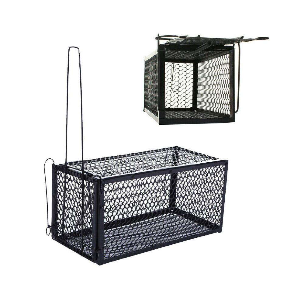 Cardys (Pack Of 2) Rat Mouse Trap Catcher Humane Live Animal Pest Rodent Mice Vermin Bait Cage Uk