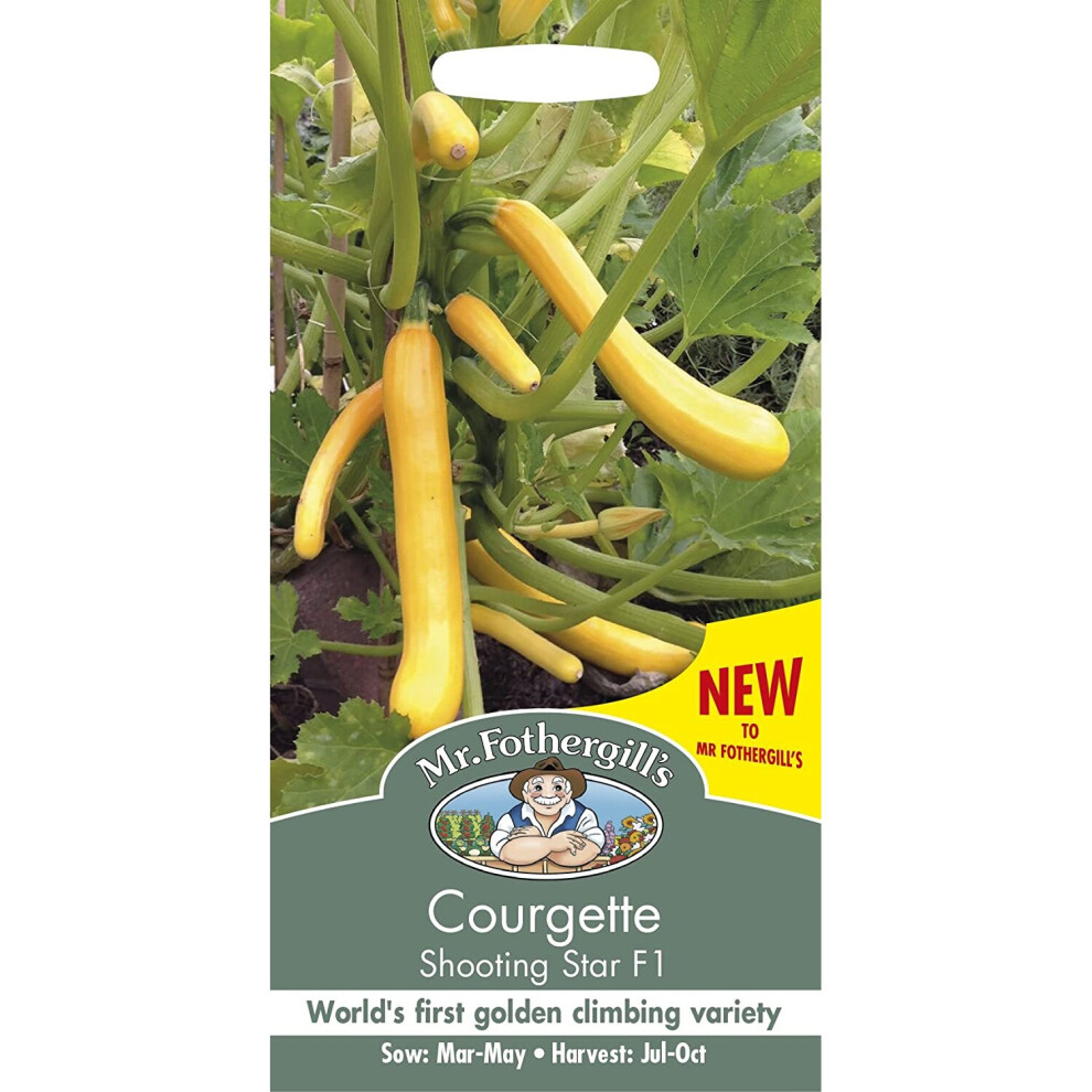 Mr Fothergills - Vegetable - Courgette Shooting Star F1 - 10 Seed