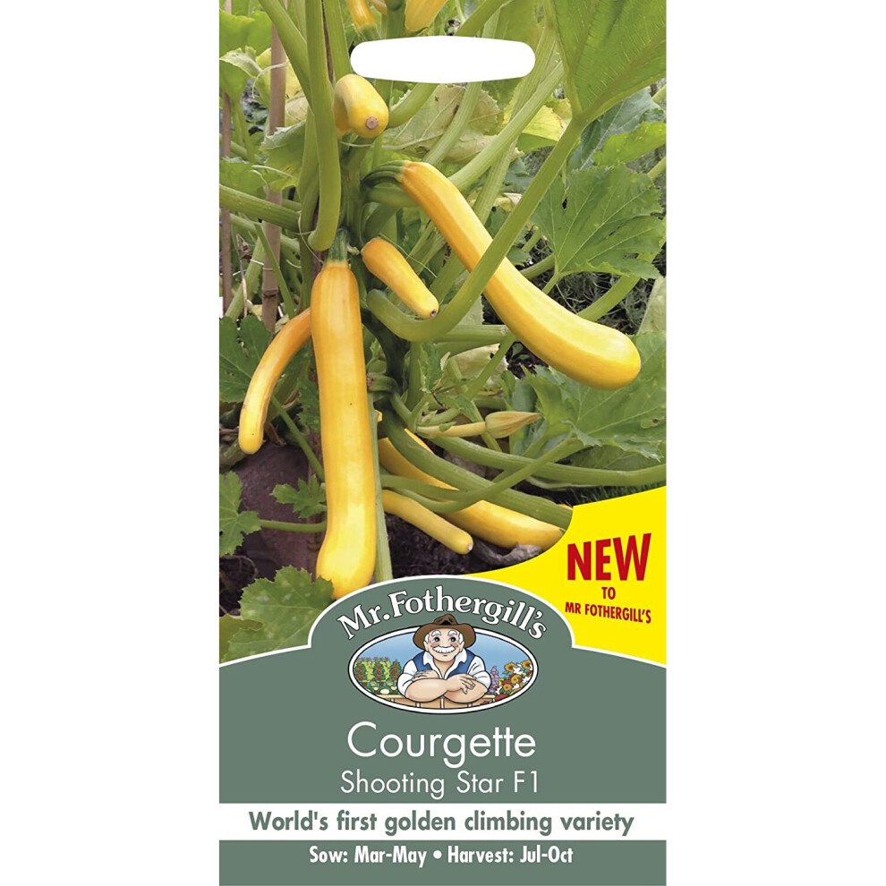 Mr Fothergill's - Vegetable - Courgette Shooting Star F1 - 10 Seed
