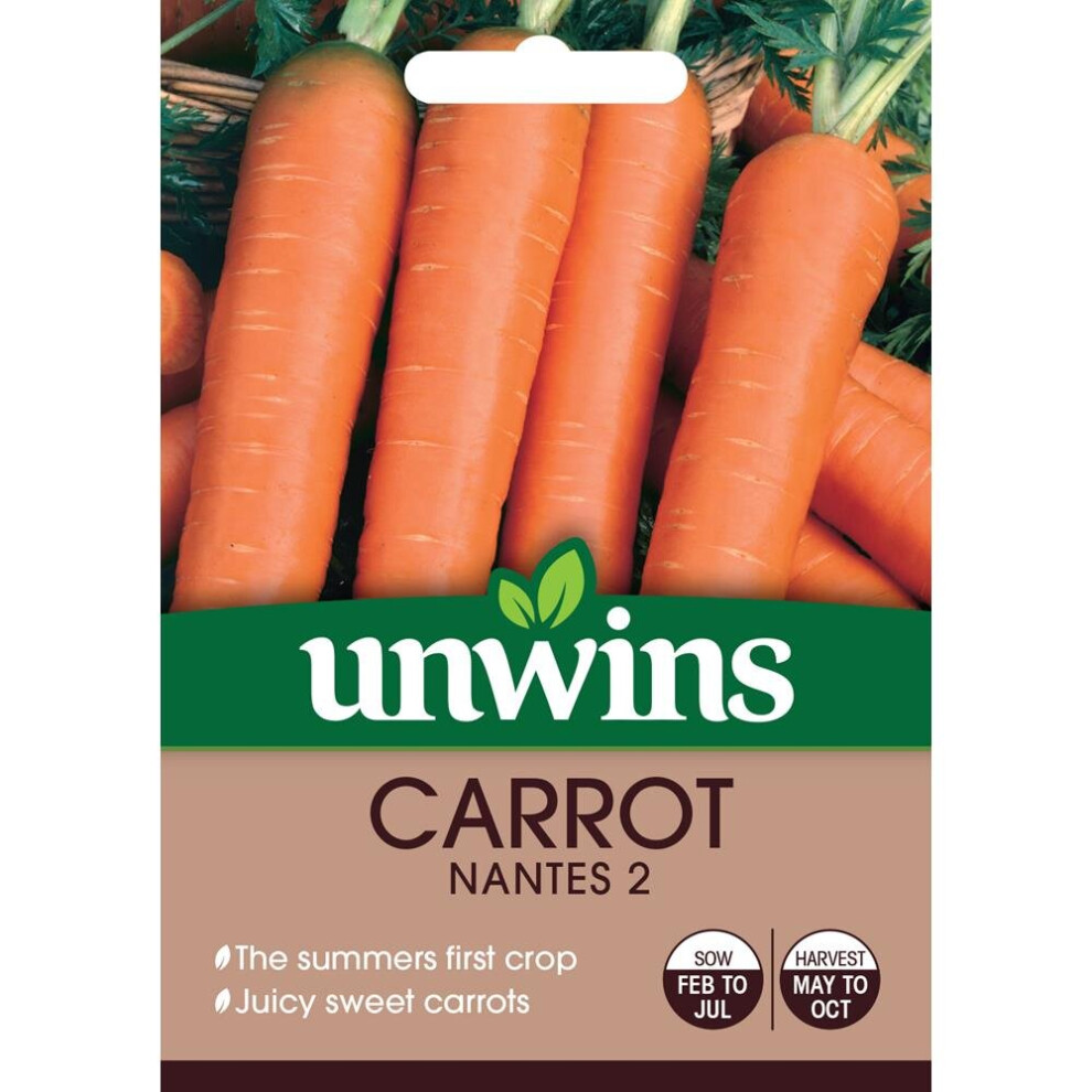 Unwins Grow Your Own At Home Vegetable Seeds - Carrot Nantes 2