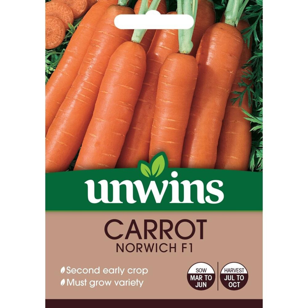 Unwins Grow Your Own At Home Vegetable Seeds - Carrot Norwich F1